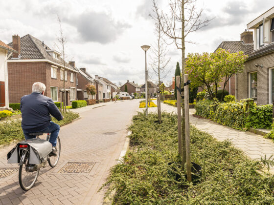 Natuurladder zorgt voor groene straten na verbouwing